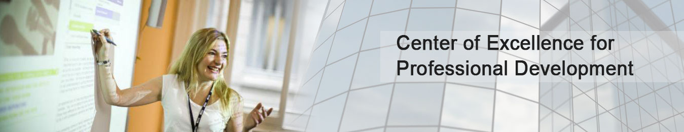  Business Analyst online Classroom 